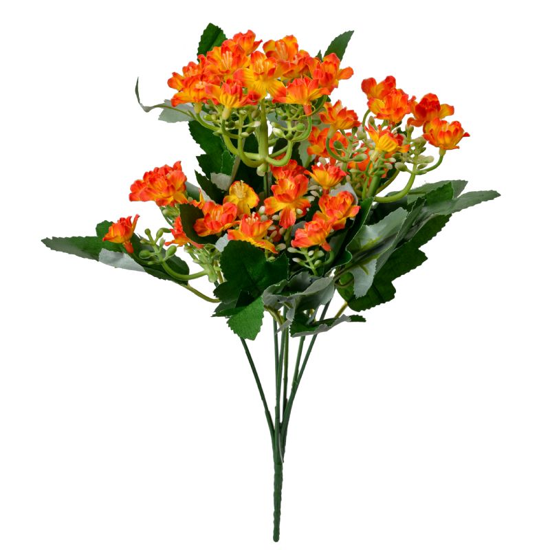 Super Floral Distributors Catalogue Image