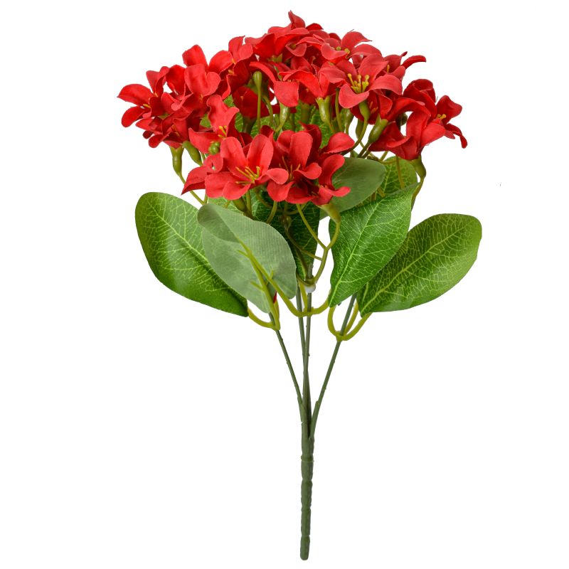 Super Floral Distributors Catalogue Image